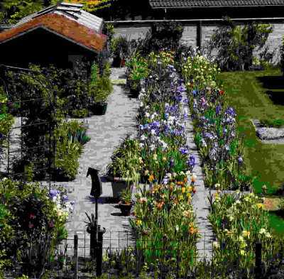 B3017aa.JPG.jpg