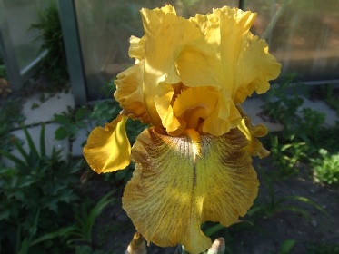 Garten_L220.jpg
