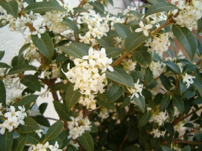 030405_025klein.jpg
