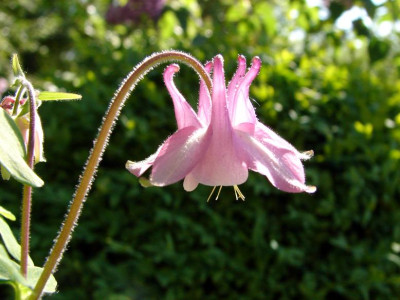 DSC00621.jpg
