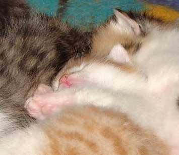 DSC00630.jpg