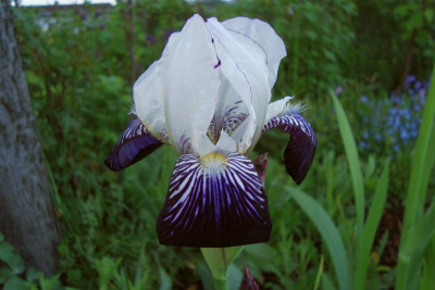 drady_2010.jpg