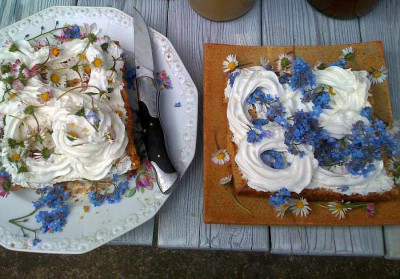 2kuchen_dresden.jpg