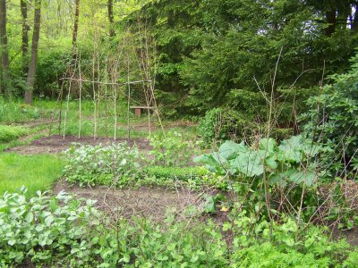Gemusebeete_Mai_2010.jpg