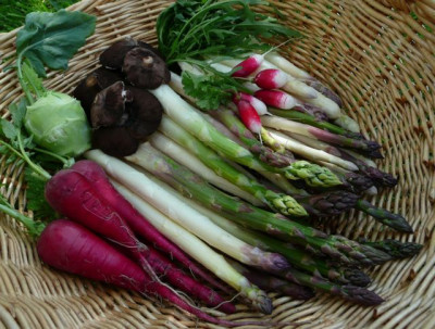 ernte_100525.jpg