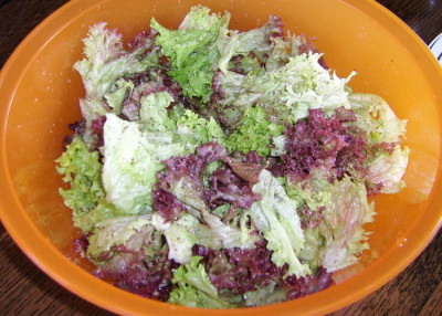 24052010--2.jpg