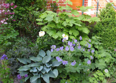 IMG_3360_1024x768.JPG