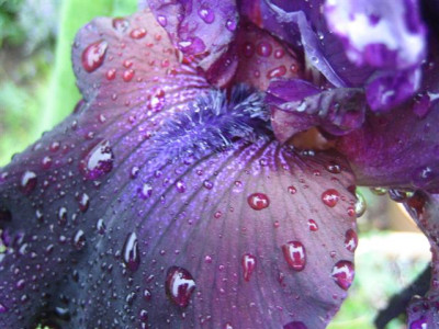 26mai2010_010_Small.jpg