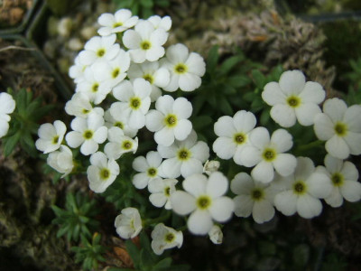 DSCF1129.JPG