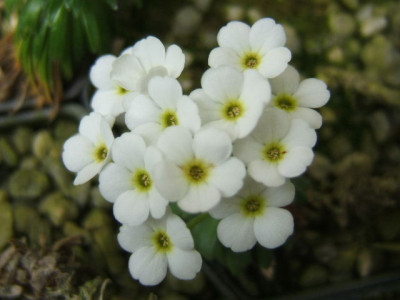 DSCF1134.JPG