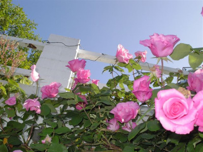 KIF_1354.JPG