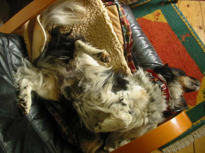 Poofie.jpg