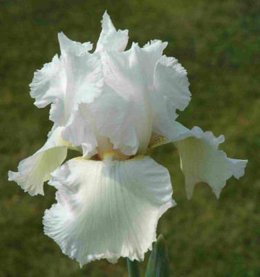 B3192a.JPG