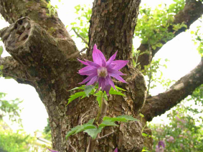 19._Mai_2010_032.jpg
