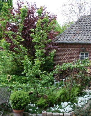 Garten_2010_039_2.jpg