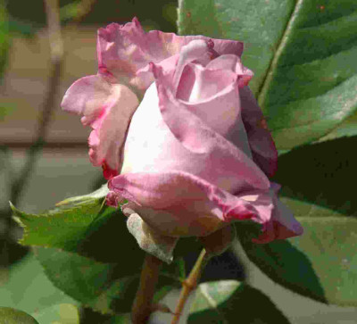 B3220a.JPG