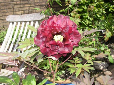 k-hephestos_2_24.05.10.JPG