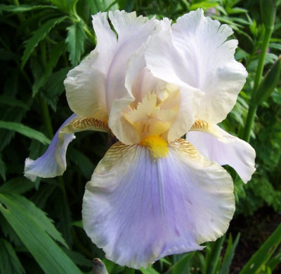 Mai_10._108_Omas_Sommerkleid.jpg