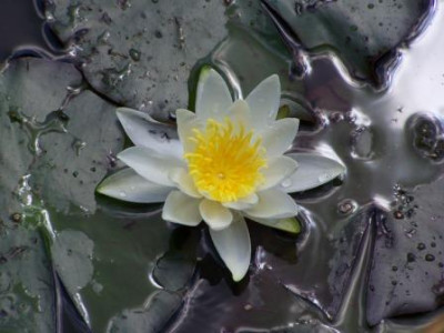 100_9068.JPG