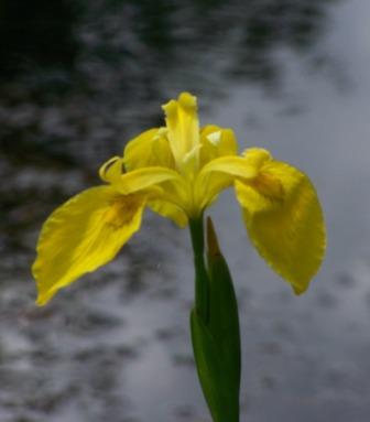 100_9066.JPG