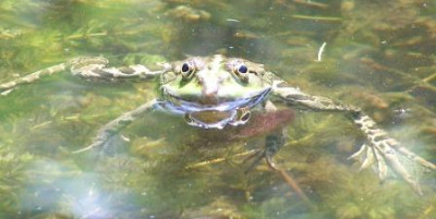 100_9072.JPG