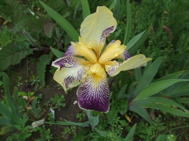 Mai_2010_074.jpg