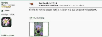 Alcazar_oder_Ambassadeur.jpg