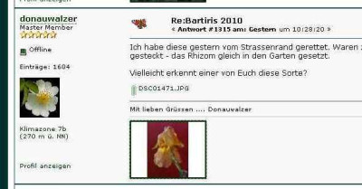 Ginger_und_Nightingale_auch_moglich.jpg