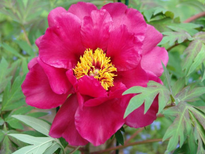 DSC00765.jpg