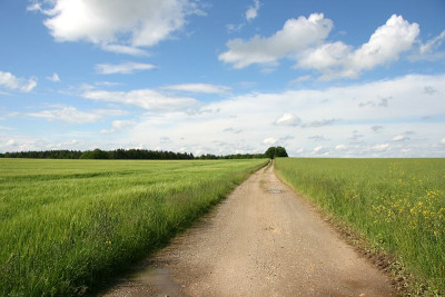 Lebenswege0.jpg