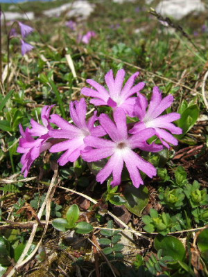 DSCF1352.JPG