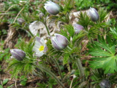 DSCF1435.JPG