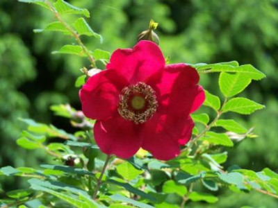 100_9053.JPG