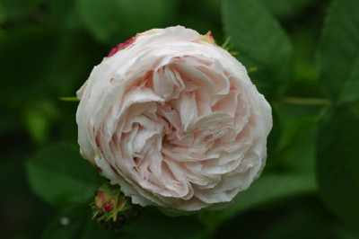 IMGP3125.JPG