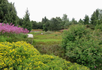 CIMG6454.JPG
