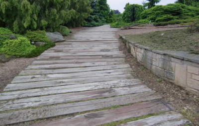 CIMG6457.JPG