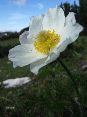 DSCF1324.JPG