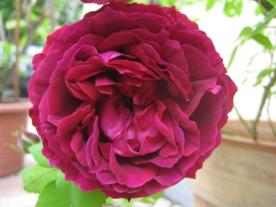 01juni2010_015_Small.jpg