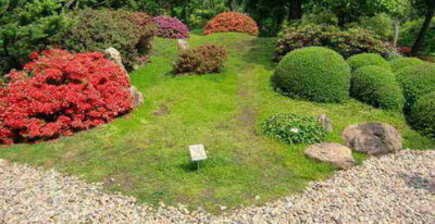 07.jpg