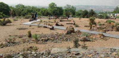 02-Wueste.jpg