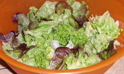 03062010--2.jpg