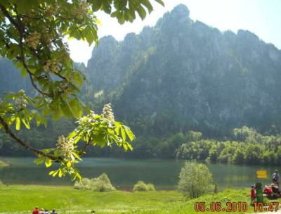 laudachsee.jpg