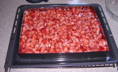 05062010.jpg