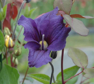 B3573.bJPG_Medium.jpg