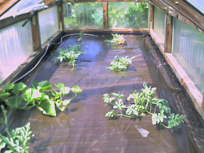20100607-144922.jpg