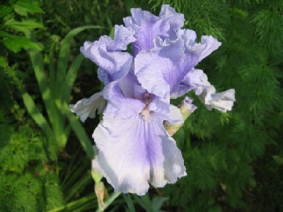 Juni_2010_030.jpg