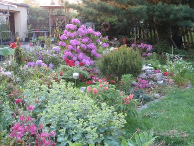 2010-06-08_Rhodobeet2.jpg