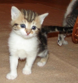 DSC00839.jpg