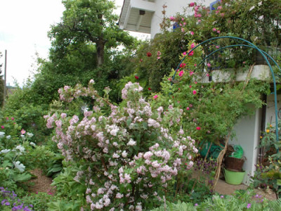 Schattenbereich_0010__69577.jpg