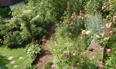 P__Terrassenblick_0010__69279.jpg